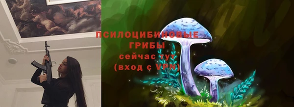 шишки Богородск