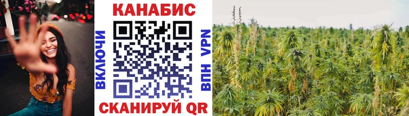 Каннабис ГИДРОПОН Канаш